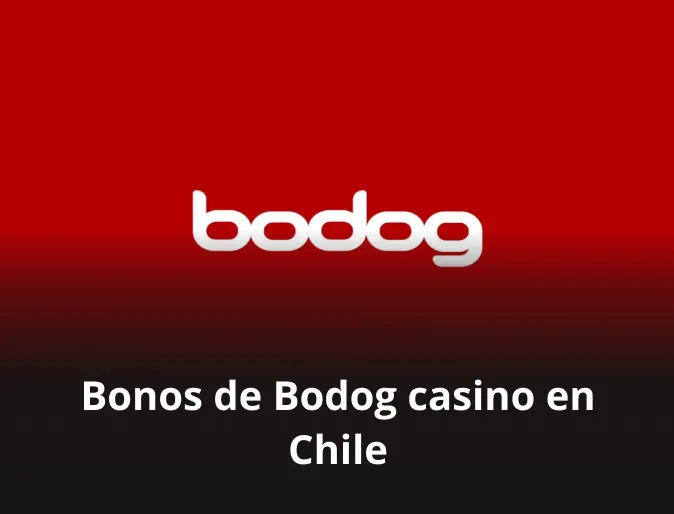 Bonos de Bodog casino en Chile