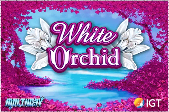 Logotipo White Orchid