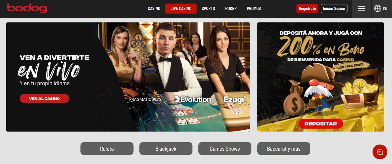 Bodog casino