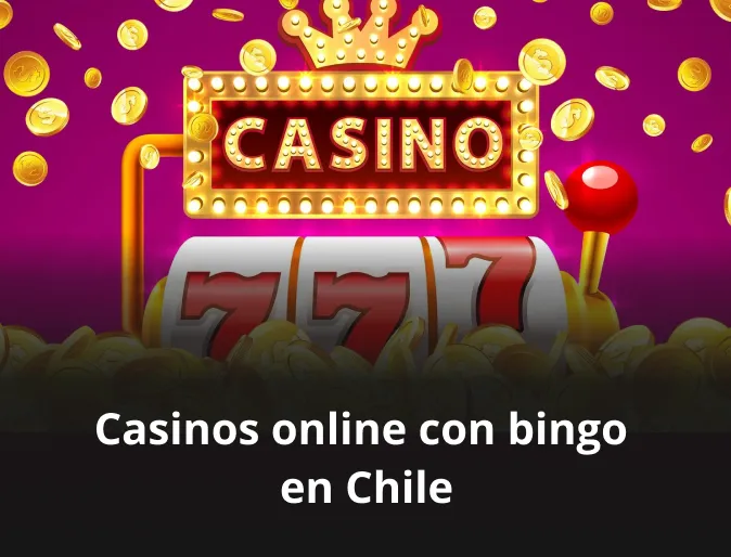 Bingo casino online