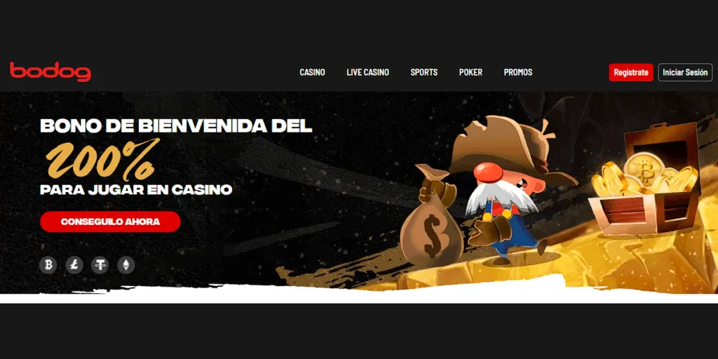 Bodog casino