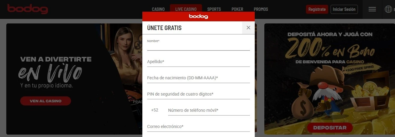 Bodog casino