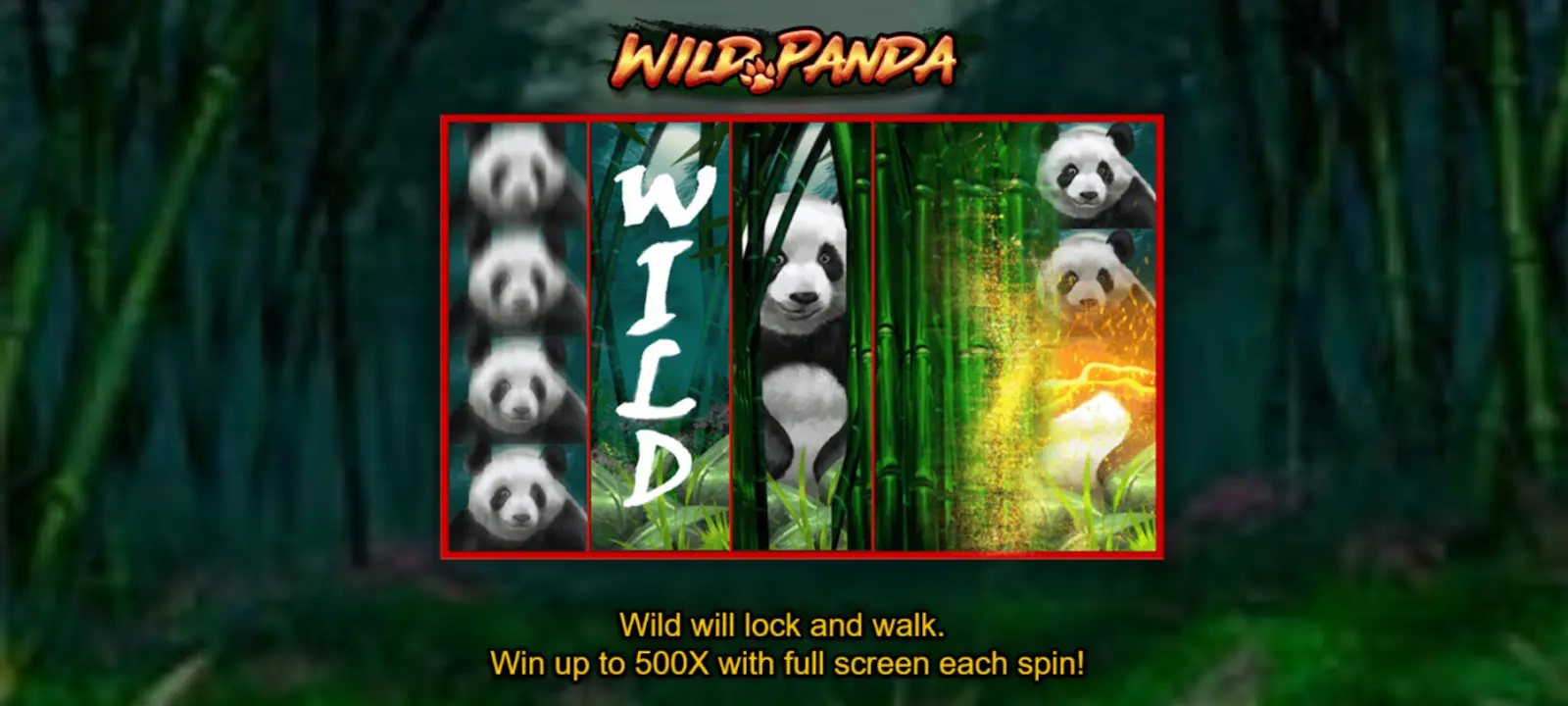 wild panda